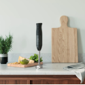 Electrolux E 4 HB 1-6 GG