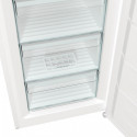 Gorenje FN 619 EEW5