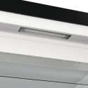 Gorenje FN 619 EABK6