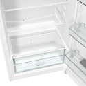 Gorenje RB 615 FEW5