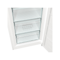 Gorenje FN 619 FEW5