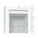 Gorenje FN 619 FEW5