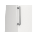 Gorenje FN 619 FEW5