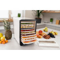 Сушарка для продуктів ARDESTO 550Вт, піддонів - 10+1x3см, макс - 70°С, сітка для ягід, пластик, білий