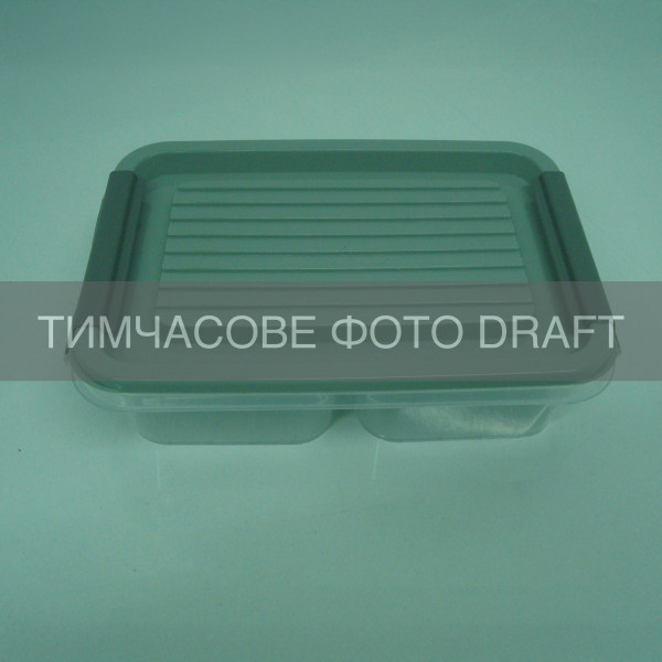 Контейнер двосекційний для зберігання харчових продуктів ARDESTO Fresh 2х0.25л, пластик, прямокутна, сірий