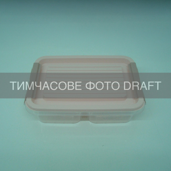 Контейнер двосекційний для зберігання харчових продуктів ARDESTO Fresh 2х0.25л, пластик, прямокутна, рожевий