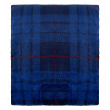 Плед ARDESTO Flannel 160х200см, 100% поліестер, клітинка, синій
