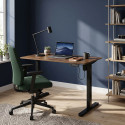 Регульований Стіл StandUp Home 1000 х 600 Black BSTh-01