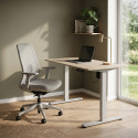 Регульований Стіл StandUp Home 1000 х 600 White BSTh-02