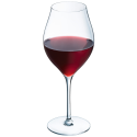 Набір келихів C&S Exaltation, 6х550 мл (7098528)