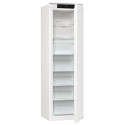 Морозильна камера Gorenje FNCI517E41WF (ZOFI22282) (7259967)