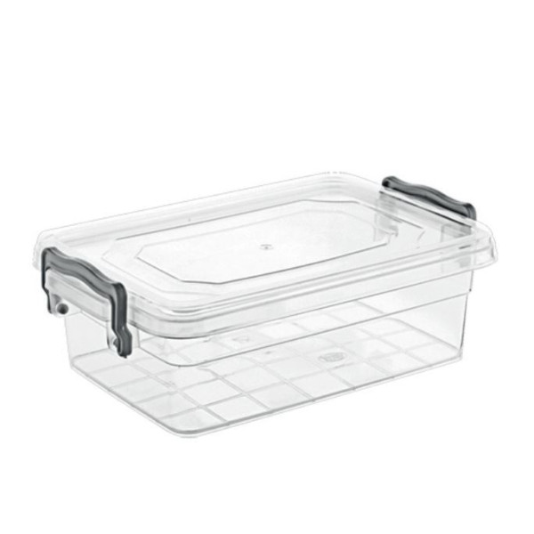 Контейнер Violet House 0458 Family Box, 0.65 л (6768546)