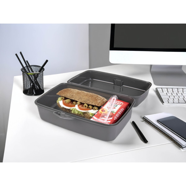 Контейнер Herevin Grey Big Lunch Box (161459-801) (7182677)