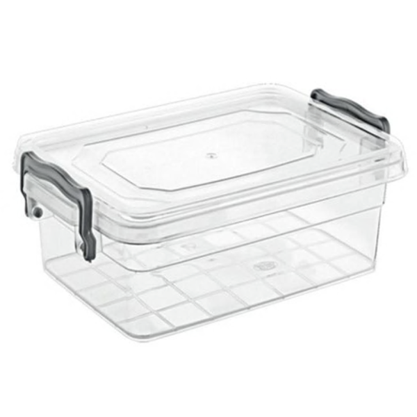 Контейнер Violet House 0463 Family Box, 2 л (6768550)