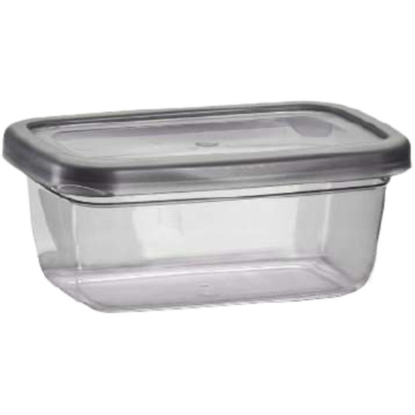 Контейнер Violet House 0509 Transparent Black 2.0 л (7006077)