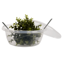 Миска Violet House RANDOM WAVY 0179 4.5 л (7249019)