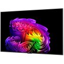 LED-телевізор LG OLED55G64LW (7269870)