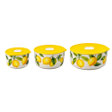 Набір контейнерів LED Lemon, 300 мл, 550 мл, 800 мл (7282276)