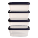 Набір контейнерів Violet House 0506 PRATIC 0.38 л, 4 шт (6995587)