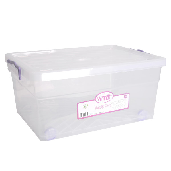 Контейнер Violet House Family Box (6579599)
