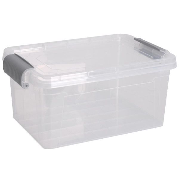 Контейнер Violet House Family Box (6579593)